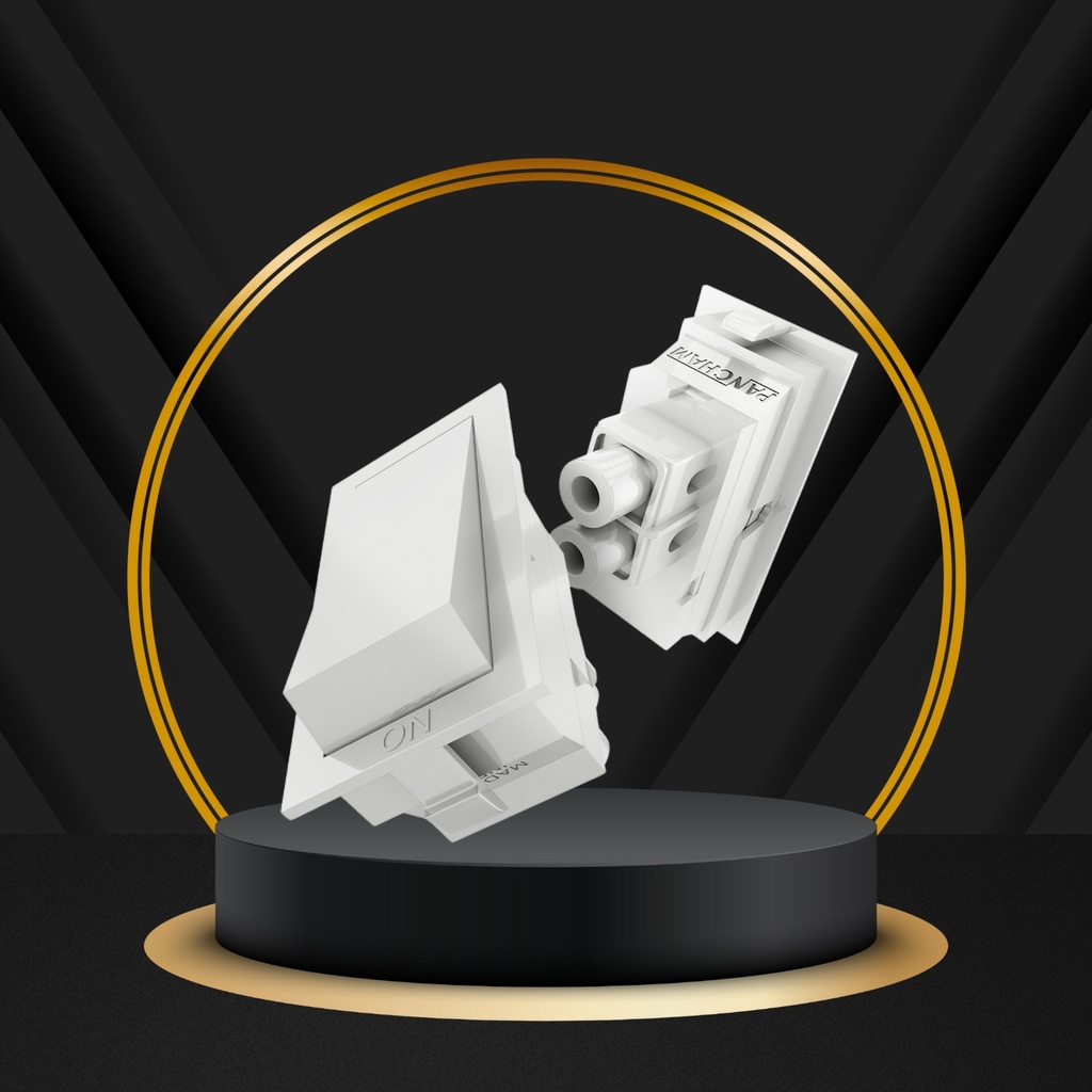 P5-1001 ROTOZ 1M 6A 1WAY SWITCH