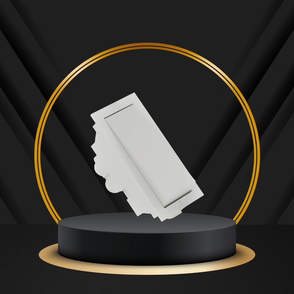 P5-1001 ROTOZ 1M 6A 1WAY SWITCH